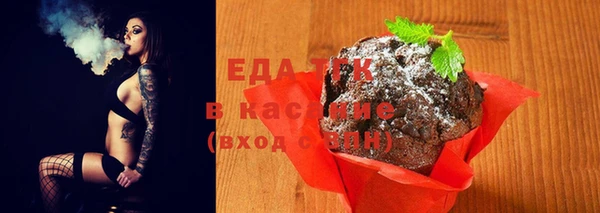 индика Армянск