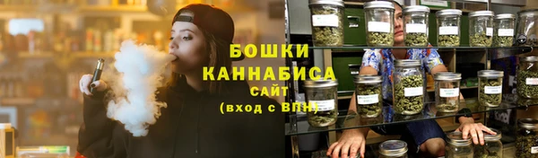 шишки Аркадак