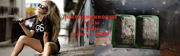 шишки Аркадак