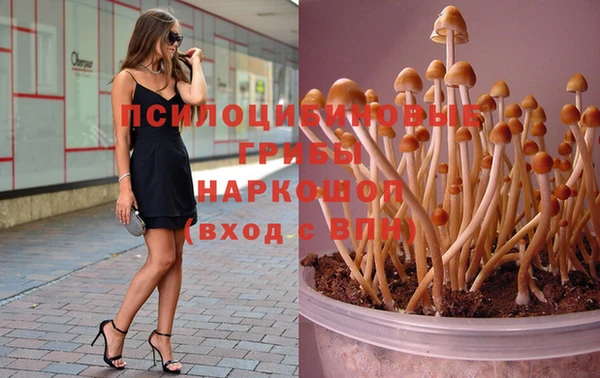 MESCALINE Арсеньев