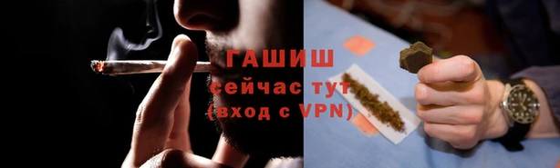 шишки Аркадак