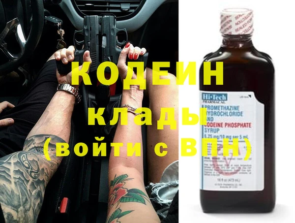 шишки Аркадак