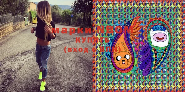 шишки Аркадак