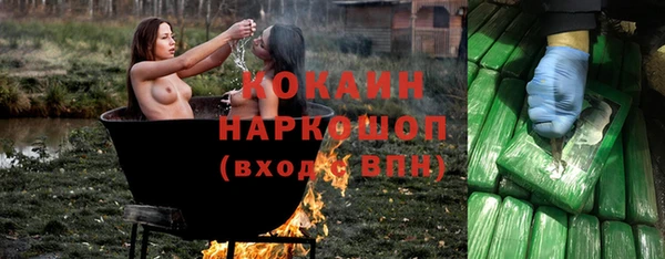 шишки Аркадак