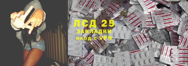 шишки Аркадак