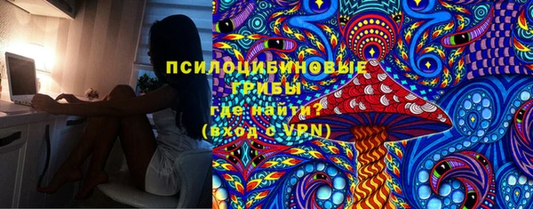 индика Армянск