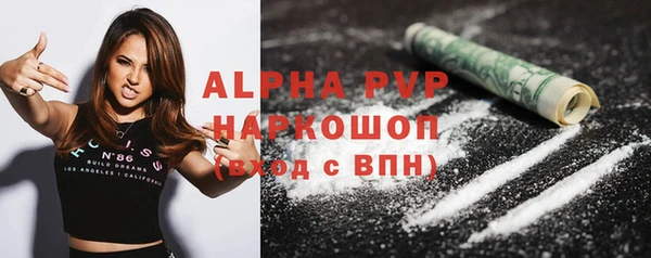 шишки Аркадак