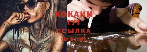 индика Армянск