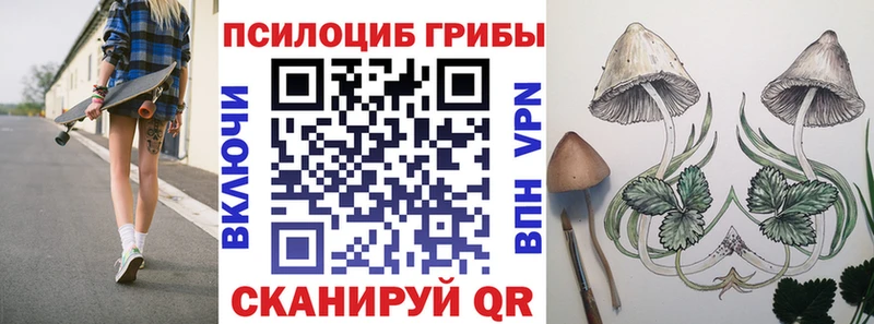Галлюциногенные грибы GOLDEN TEACHER гидра как войти Слюдянка